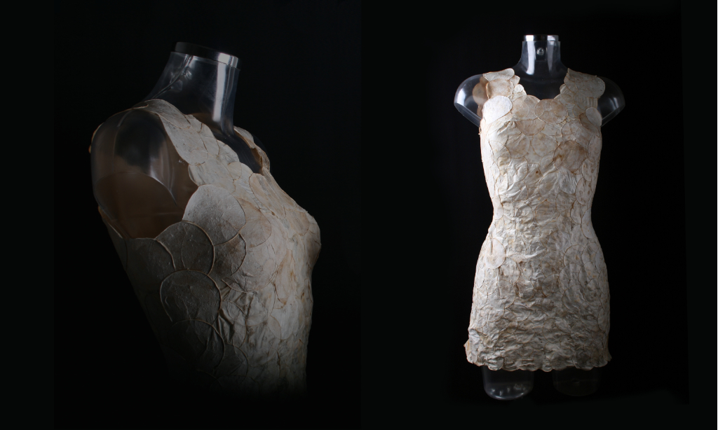 Article 5 — We lost the value of clothing. Here is what I think we can do about it